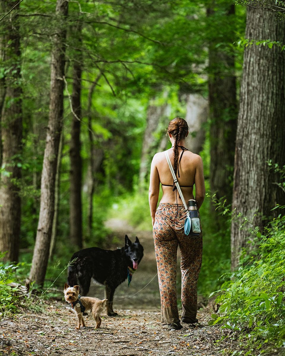 A woman and her dog walk in the woods.