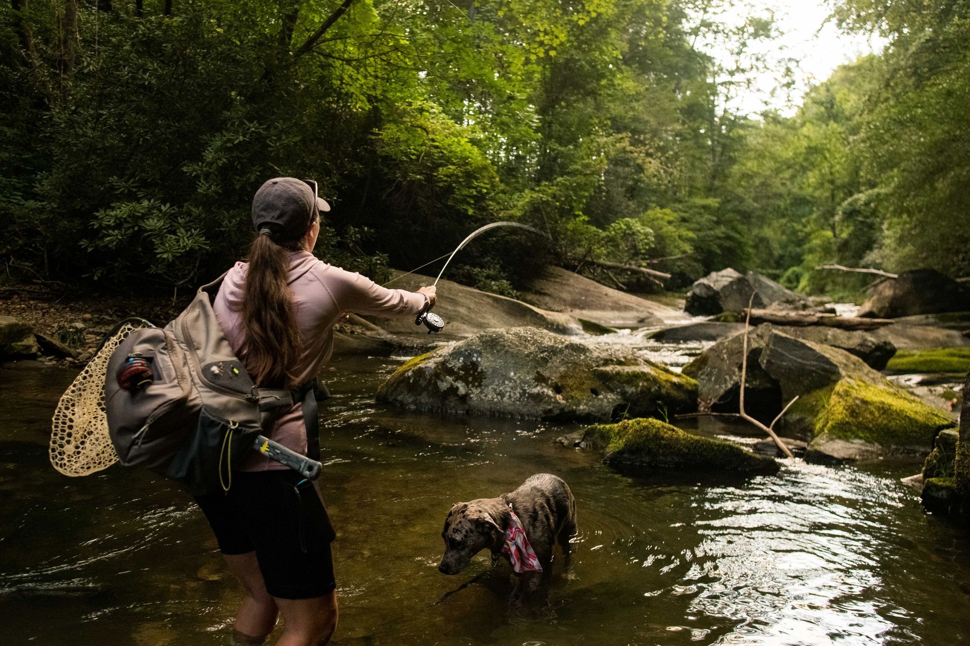 A woman fly fishes in a creek with her dog.