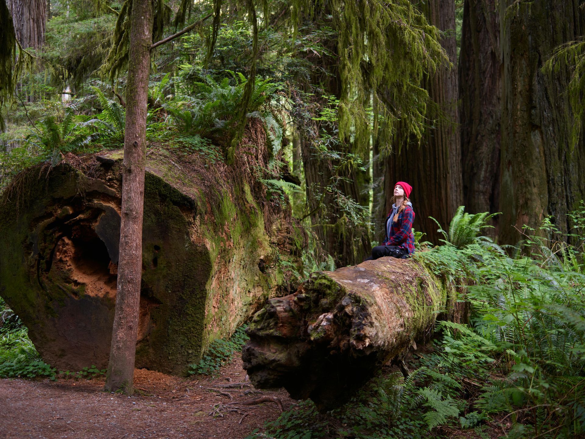 A person is sitting on a log in the middle of a forest.