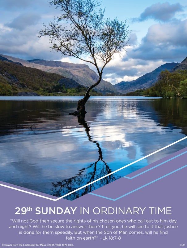 A church bulletin cover with a tree in the middle of a lake.