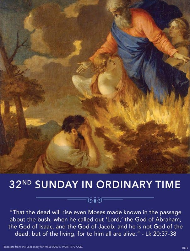 A bulletin cover for the 32nd Sunday in Ordinary Time