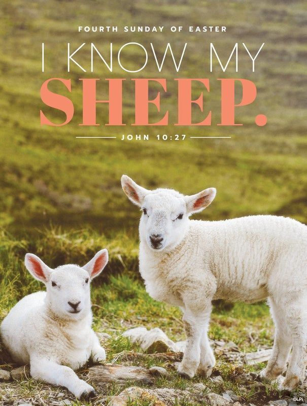 A bulletin cover for the fourth Sunday of Easter.