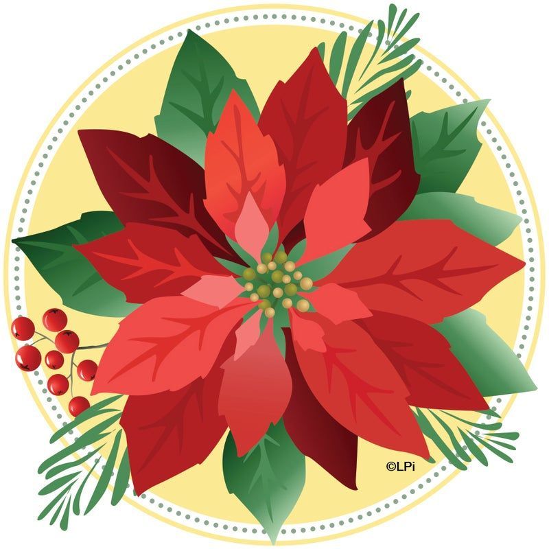 Red poinsettia flower with green leaves and berries on a yellow background.