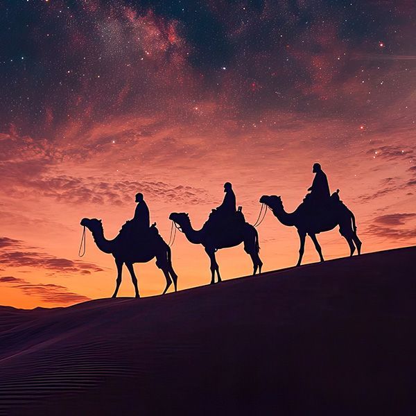 A group of people riding on the backs of camels in the desert.