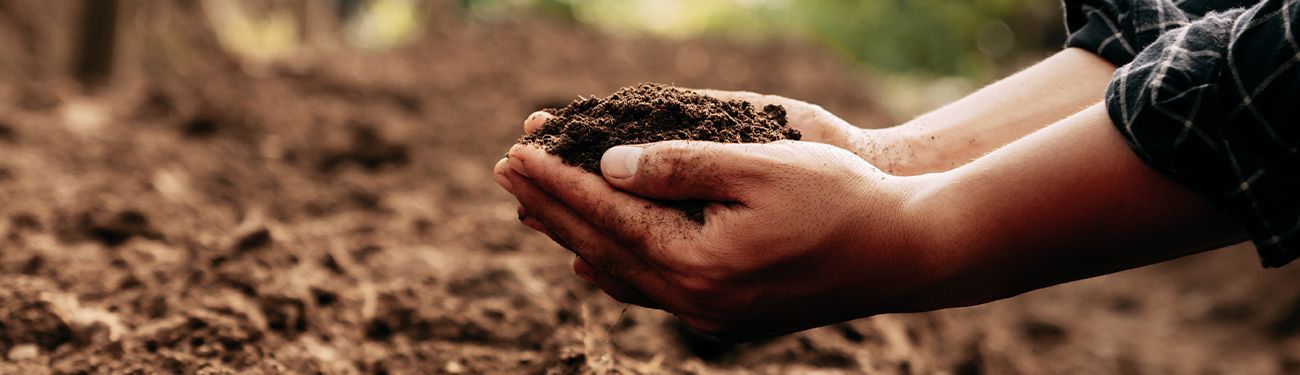 Hands holding soil over a field, preparing to plant seeds.