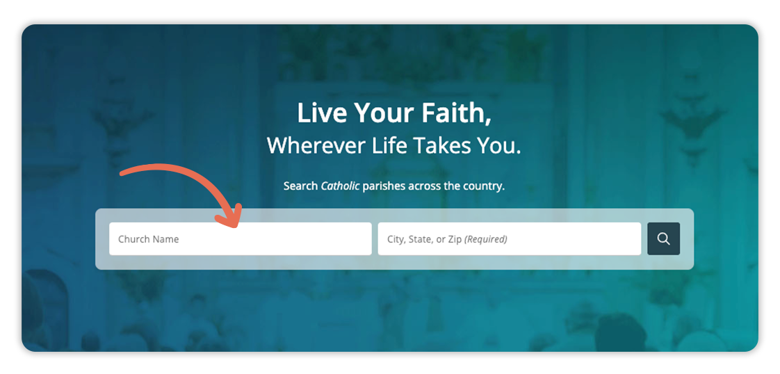 A screenshot of a website that has an arrow pointing to the search box.