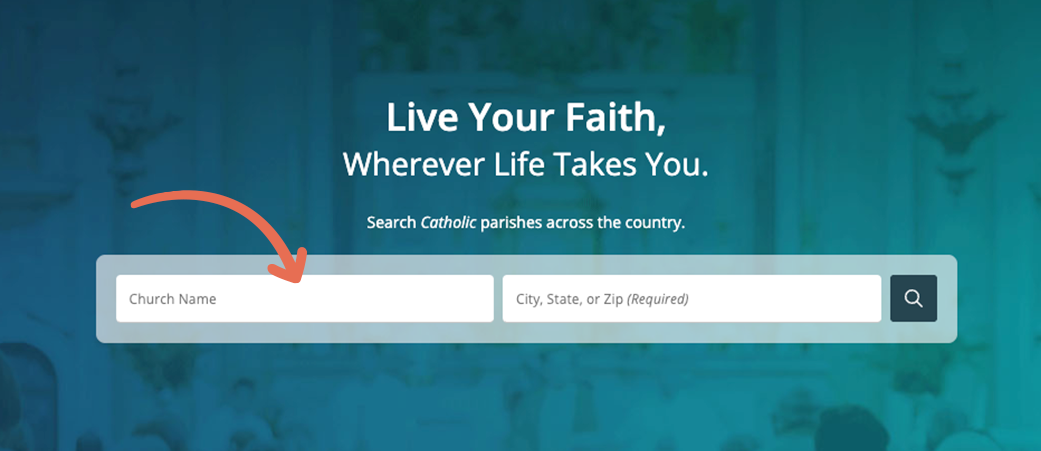 A screenshot of a website that has an arrow pointing to the search box.