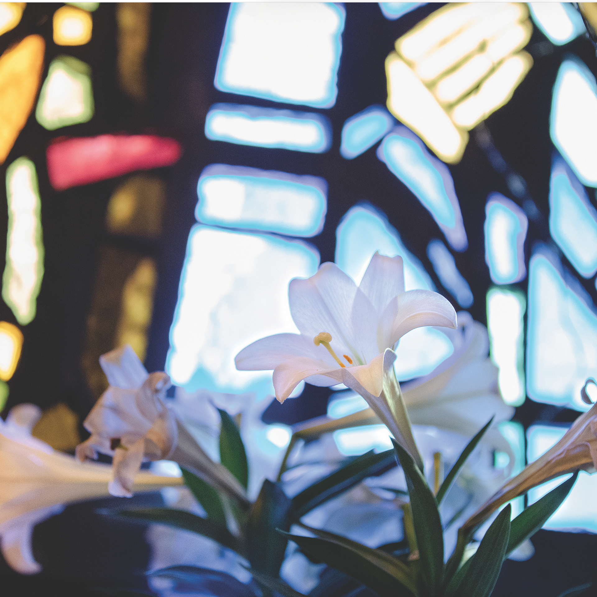 Free Catholic Easter Graphics for You and Your Parish