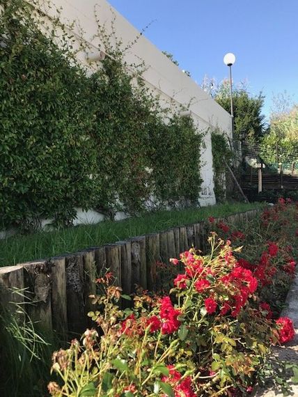 giardino con fiori