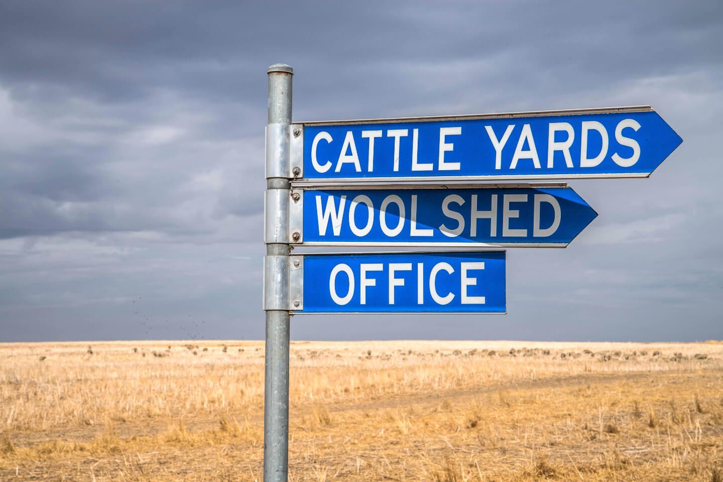 Signpost with blue arrows pointing to Cattle Yards, Woolshed, and Office in a field.