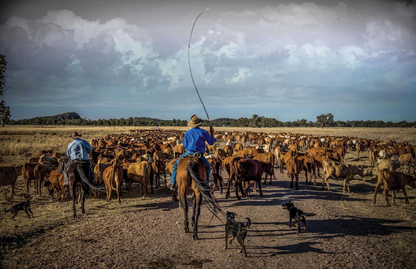 Two cowboys herding cattle on horseback across a dry field under a cloudy sky.