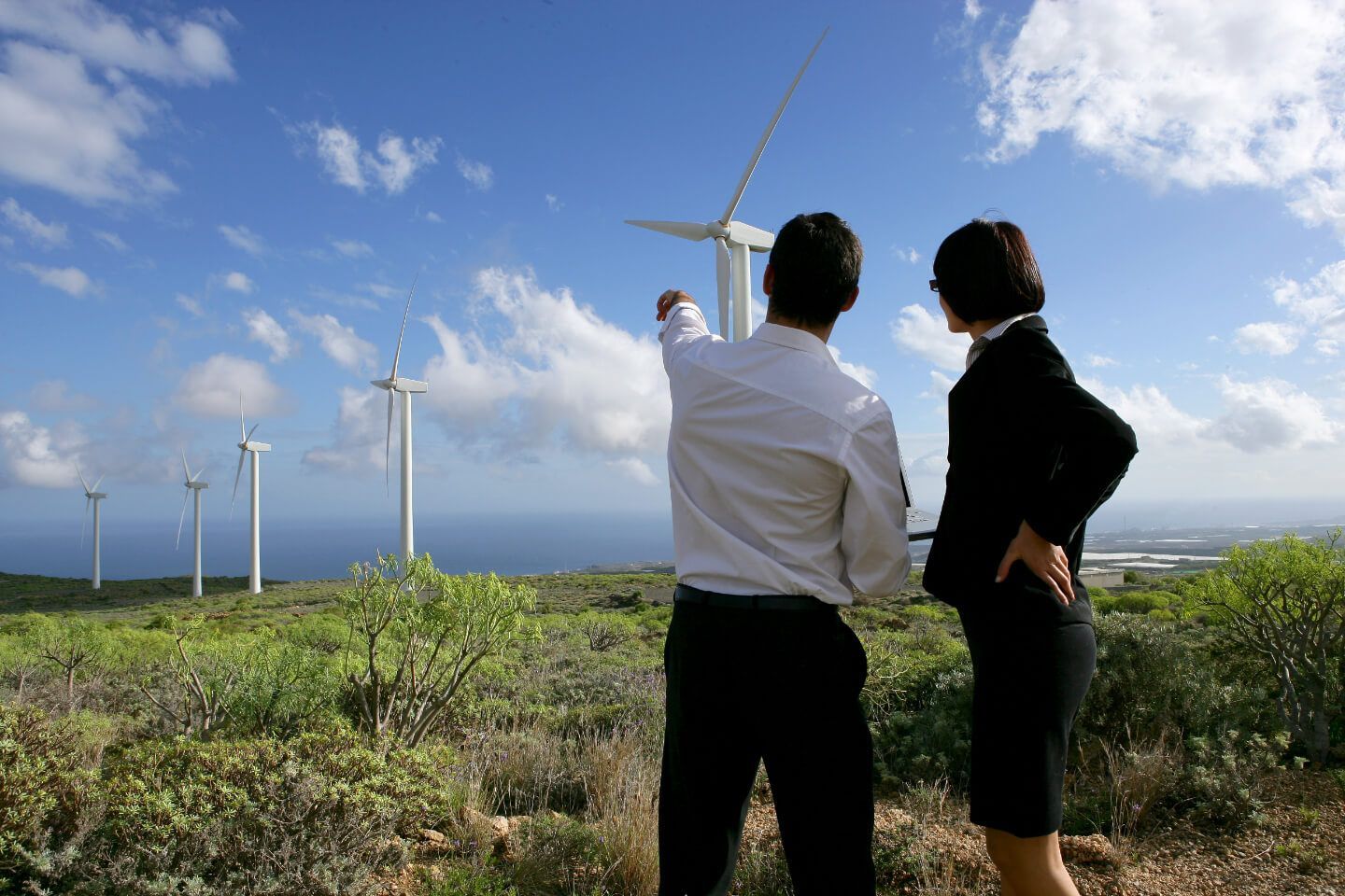 Man points at wind turbines; woman in black suit looks on, ocean and sky background.