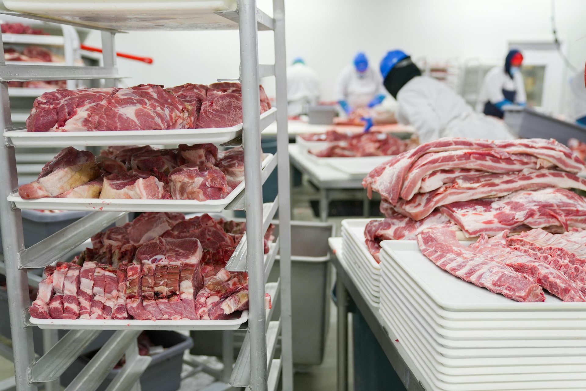 Meat processing plant, stacks of raw meat on trays, workers in protective gear.