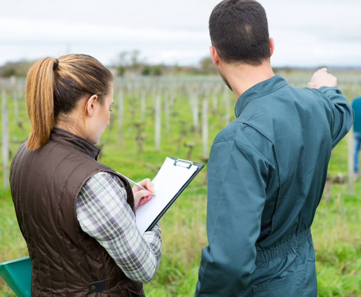 Woman in vest writing on clipboard, man points toward a vineyard.