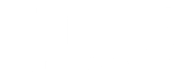 A white background with a few lines on it
