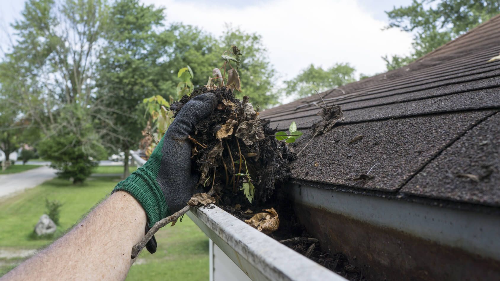 A person is cleaning a gutter of leaves from a roof.