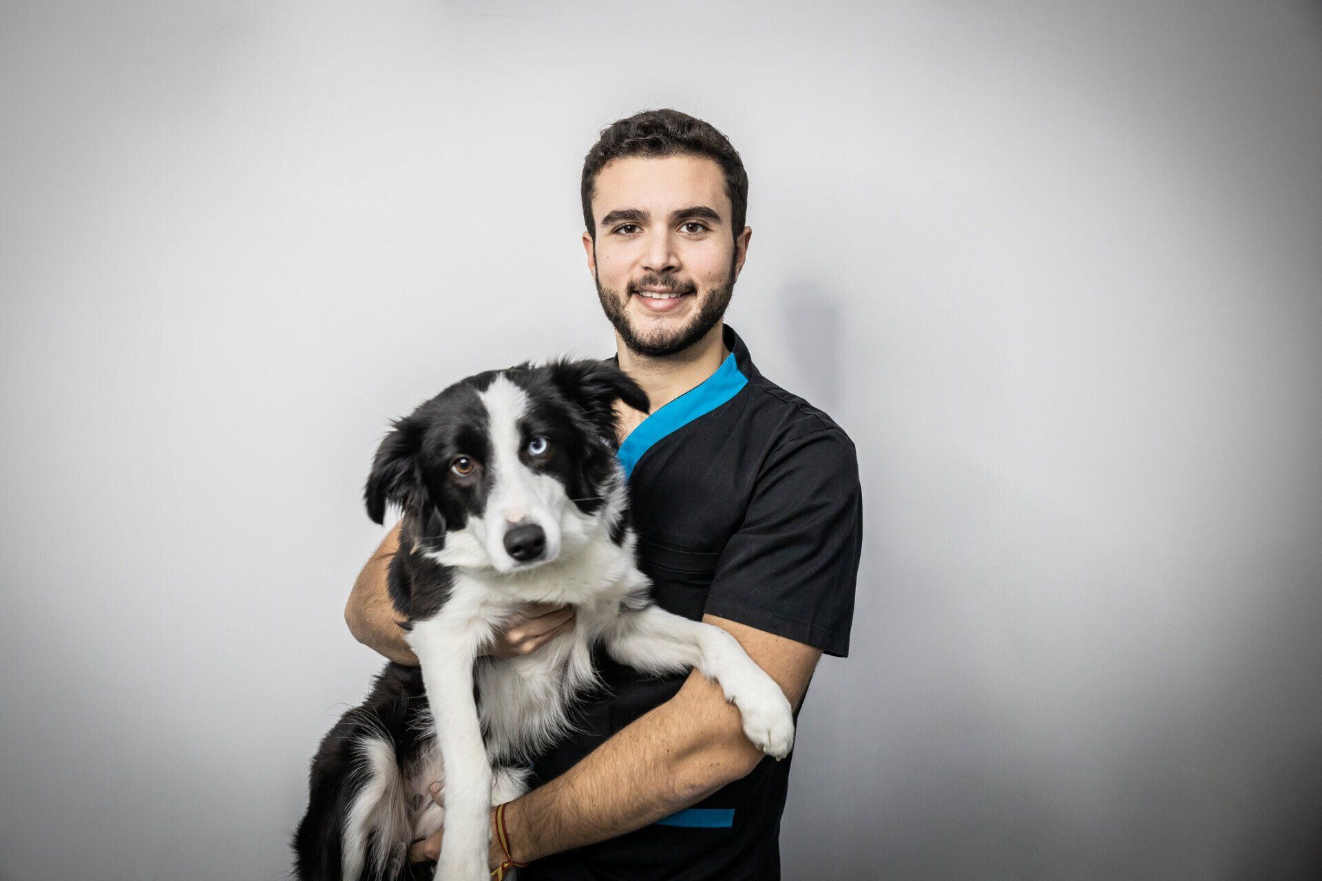 Male Vet Cuddling Border Collie In Arms Dog — Greenwood, SC — Greenwood Veterinary Hospital