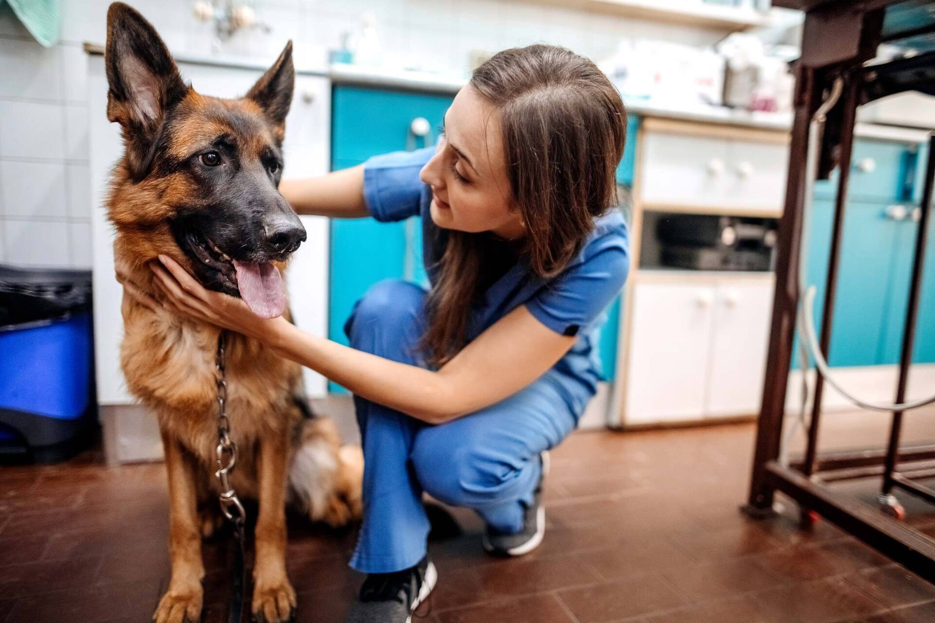 Nurse Smiling While Playing With A Dog — Greenwood, SC — Greenwood Veterinary Hospital