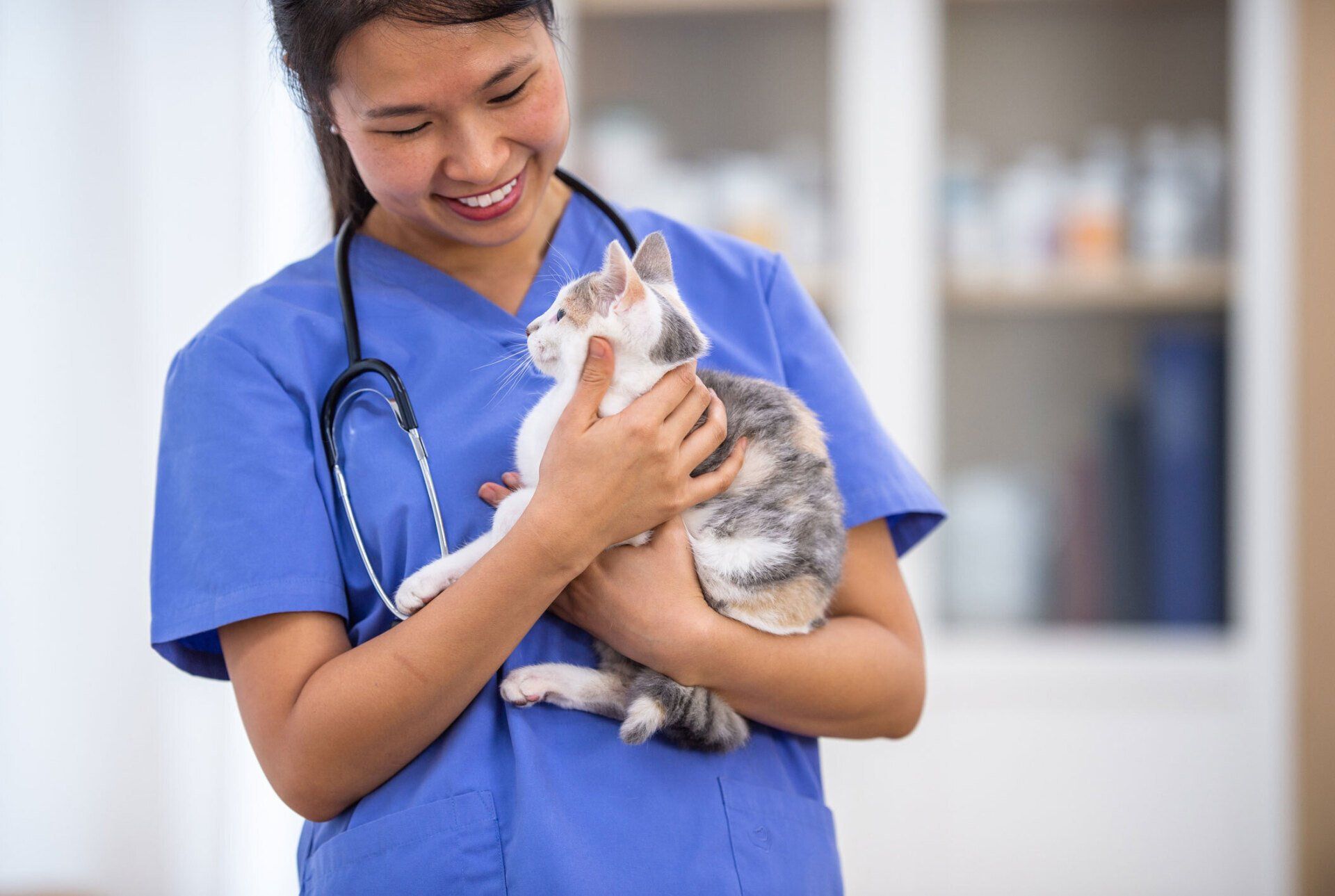 An Asian Female Veterinarian Holds A Cat Up — Greenwood, SC — Greenwood Veterinary Hospital