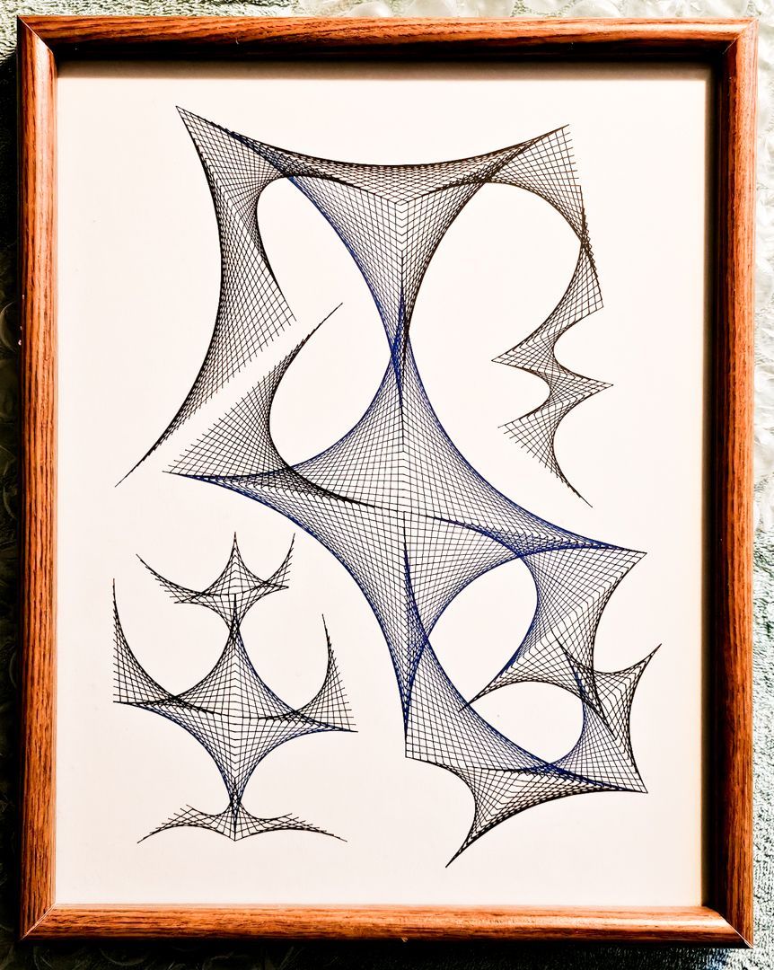 A picture of a spider web in a wooden frame