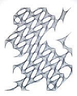 A black and white drawing of a spider web on a white background.