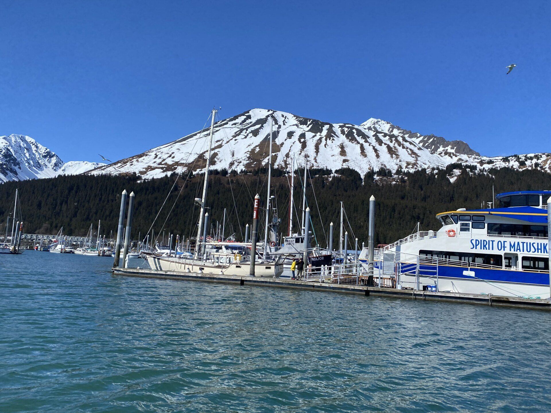 Harbor - Things to Do - Bell in The Woods - Seward, AK