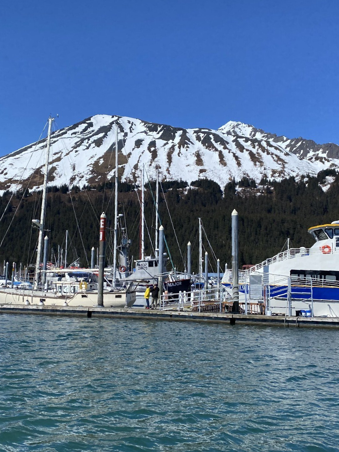 Blue Ice Charter - Seward Harbor