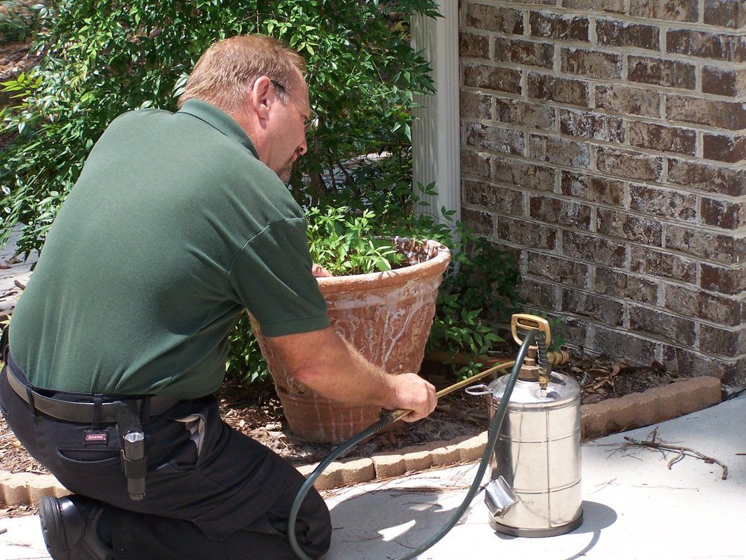 Man With A Pesticide — Tallahassee, FL — Rock Solid Termite and Pest Control