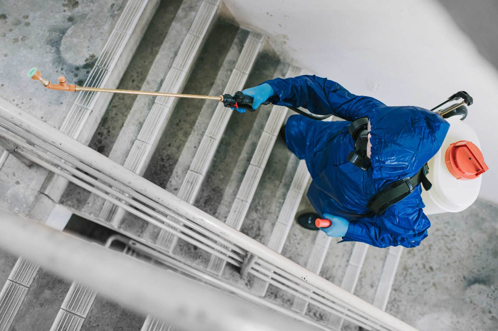 Staircase Exterminator Pest Control — Tallahassee, FL — Rock Solid Termite and Pest Control