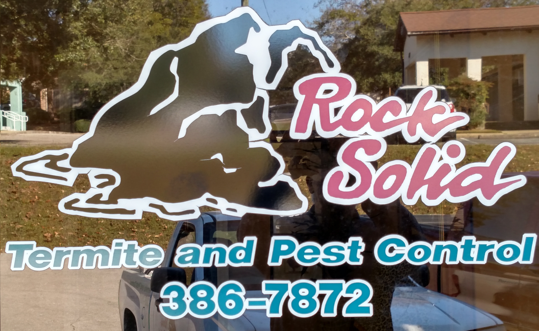 Front Door — Tallahassee, FL — Rock Solid Termite and Pest Control