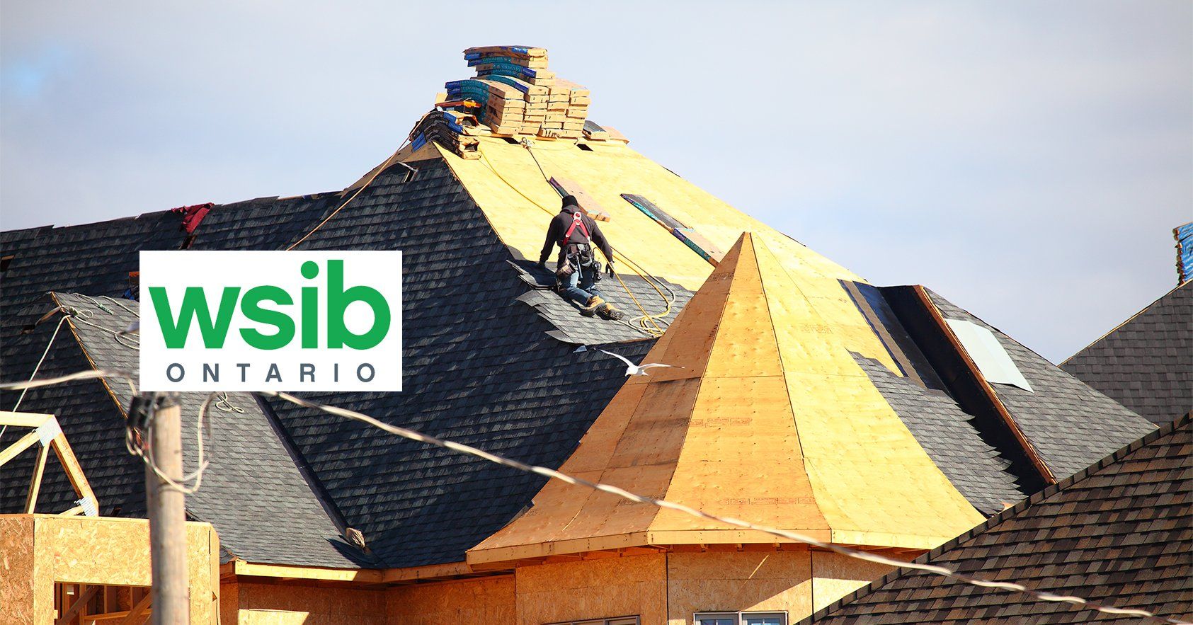 Hamilton Roofing Companies Platinum Roofing Hamilton Roofers