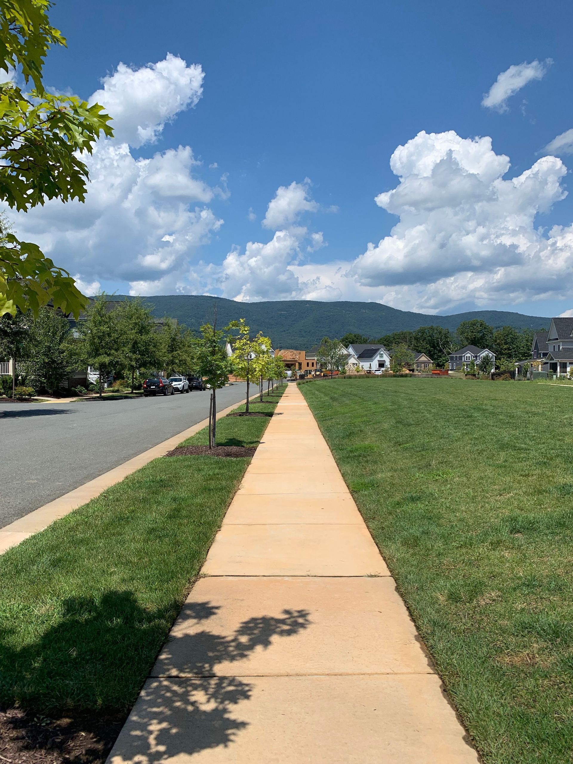 A sidewalk leading to a grassy field with mountains in the background