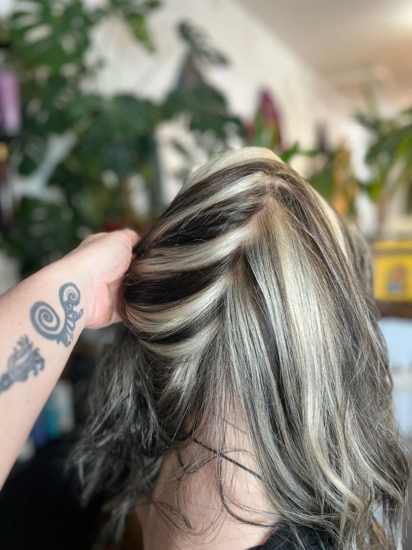 Hand holding a person's hair with striking dark and light striped highlights, possibly salon setting.