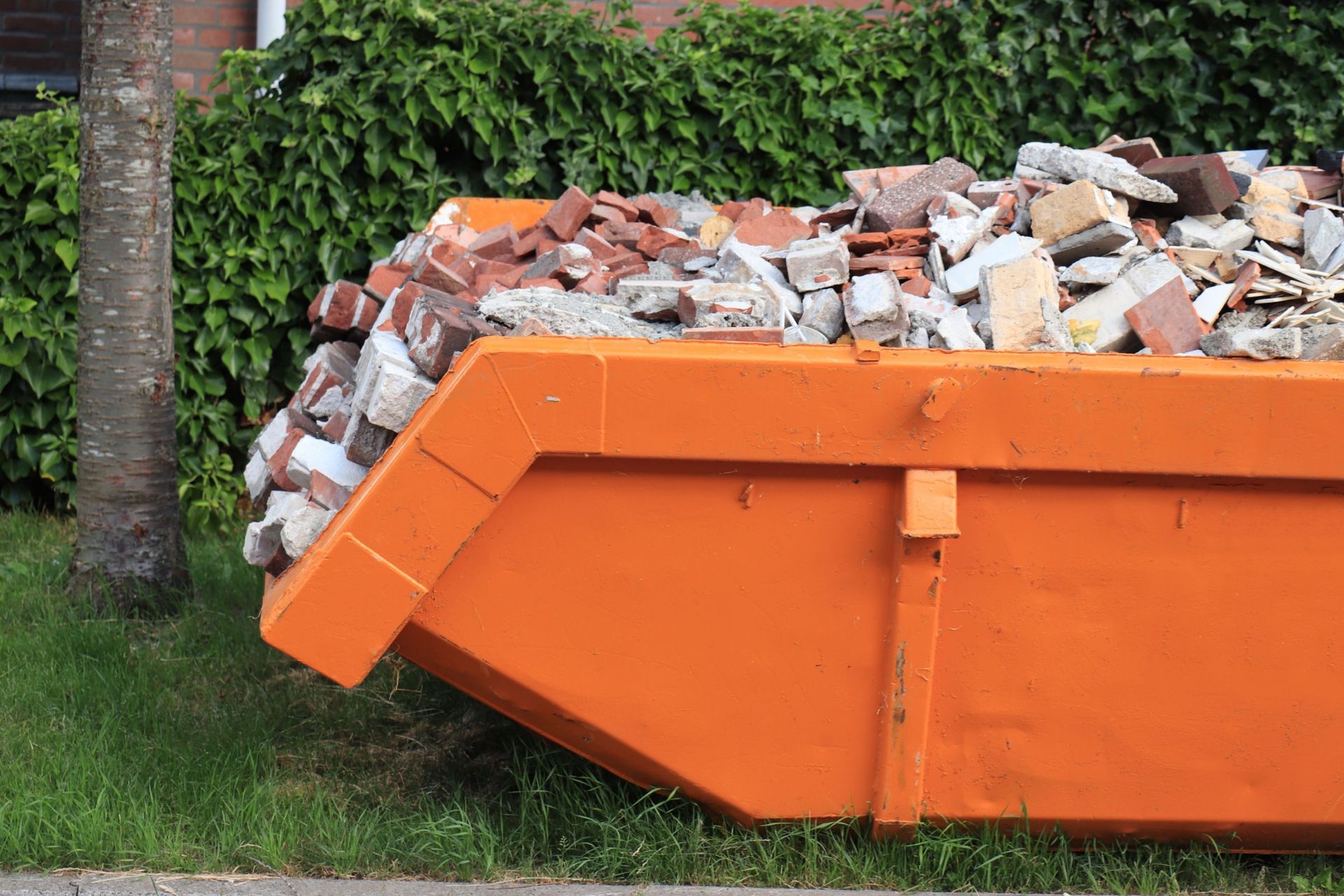 Orange dumpster filled with construction debris on green grass, next to a tree and bushes.