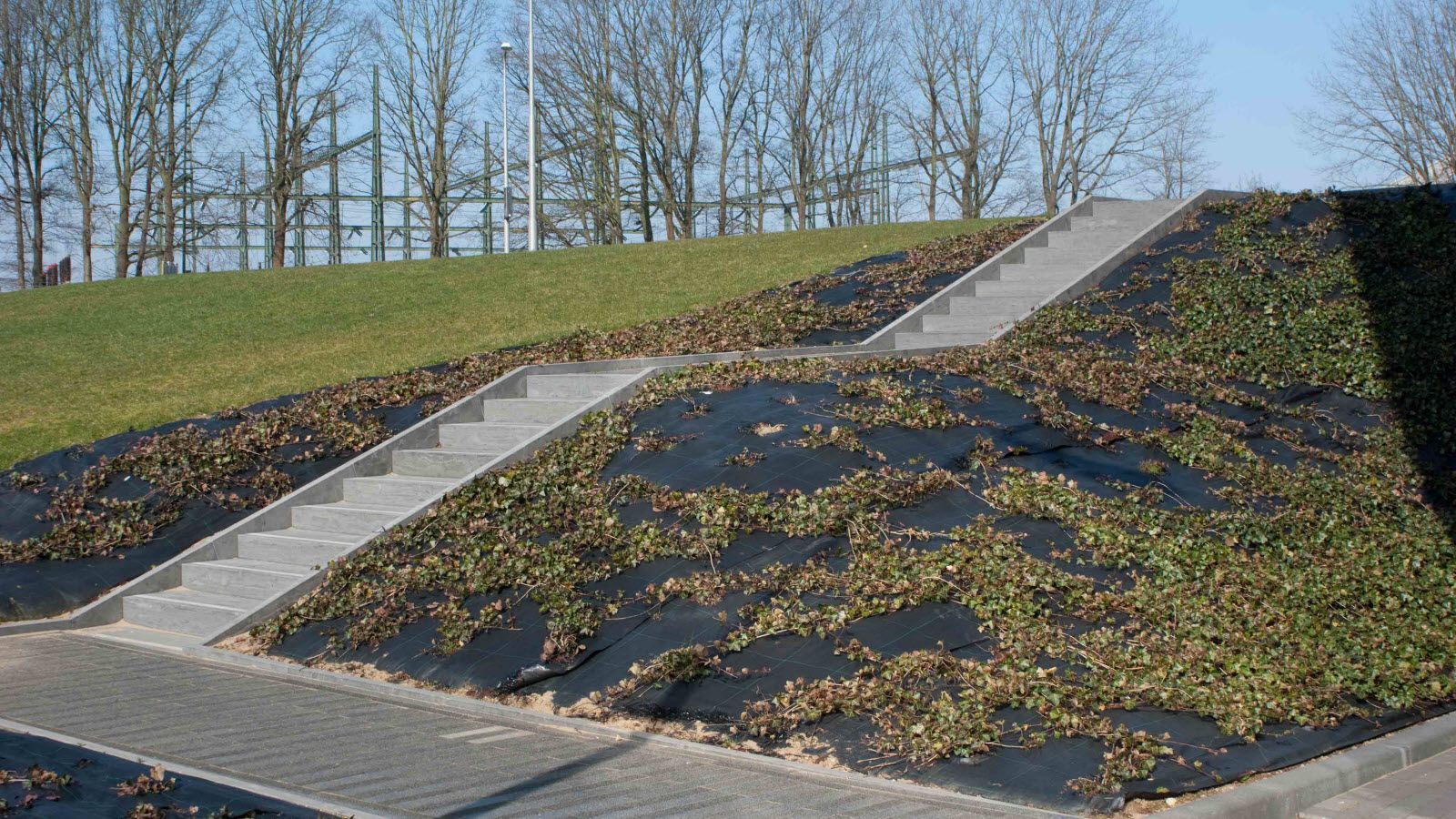 Een trap die naar een met gras begroeide heuvel leidt, met bomen op de achtergrond.