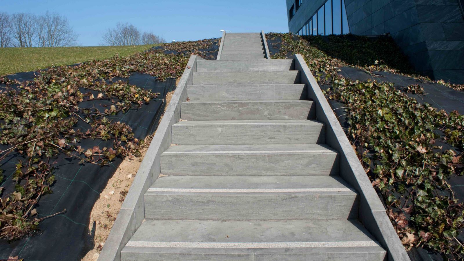 Een betonnen trap die naar een gebouw leidt.