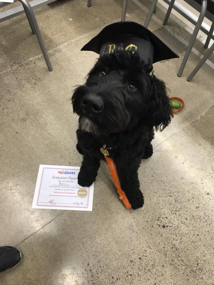 Beau at his graduation ceremony