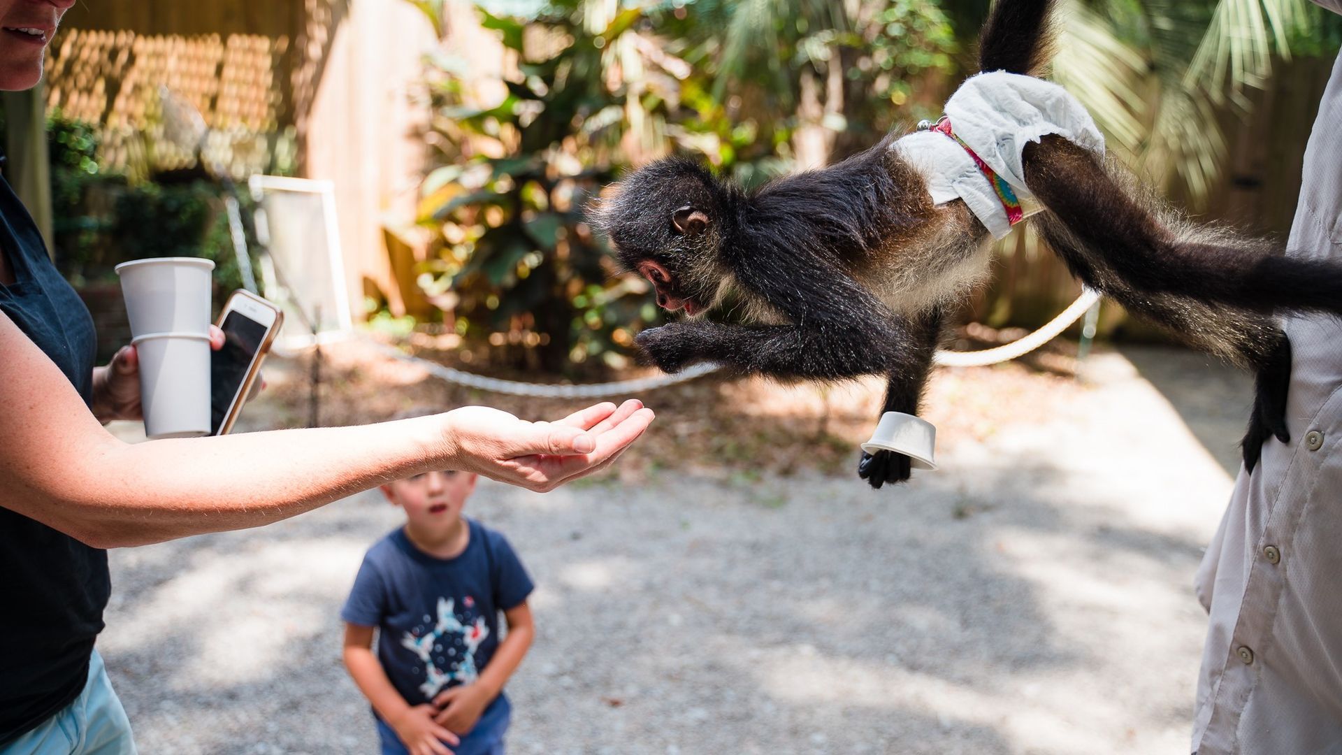 A woman is feeding a monkey from her hand while a boy watches.
