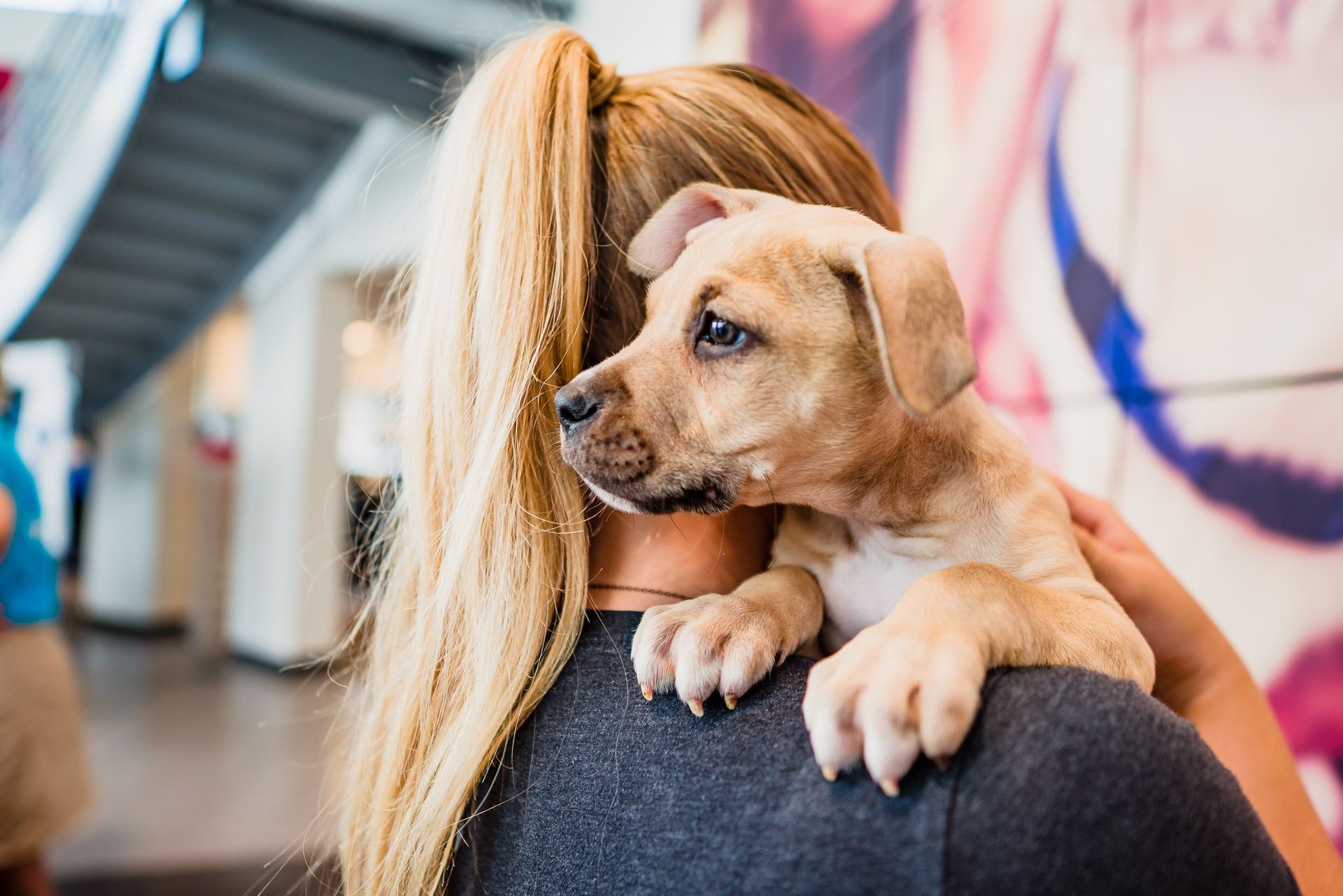 A woman is holding a puppy on her shoulder.