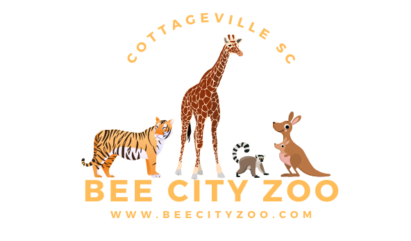 A logo for bee city zoo with a giraffe tiger and kangaroo