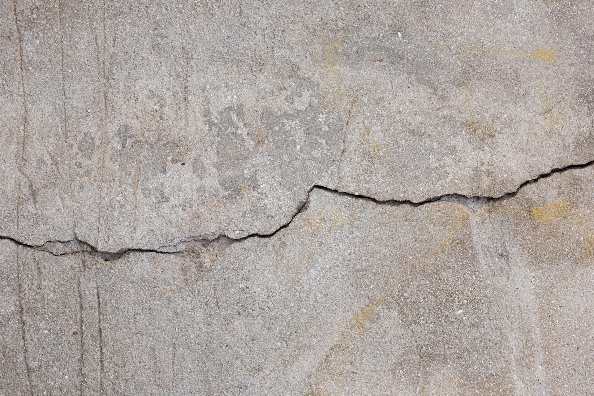 Close-up of a cracked, gray concrete surface.