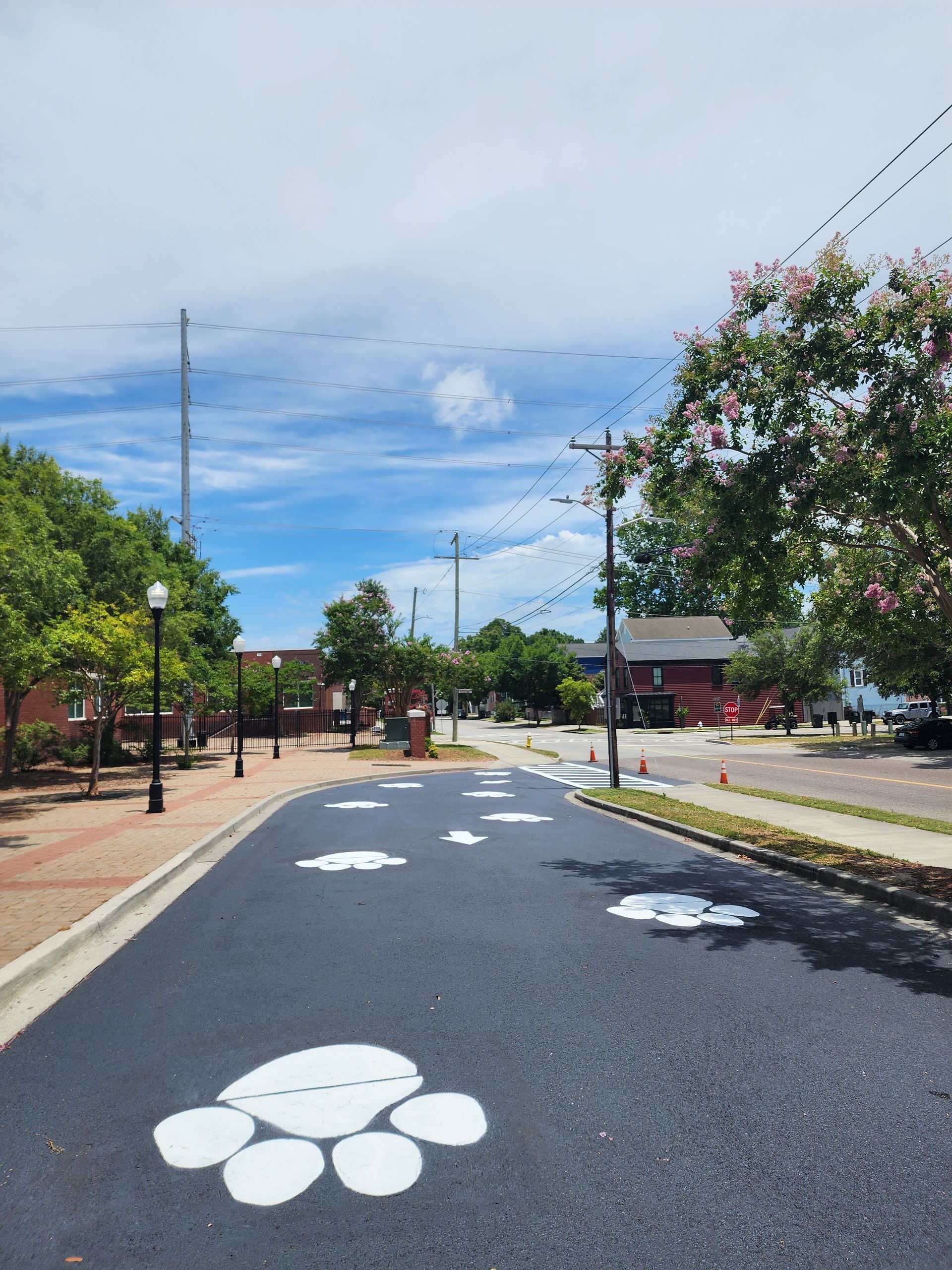 Smooth asphalt paving for school parking lot and driveways in South Carolina.