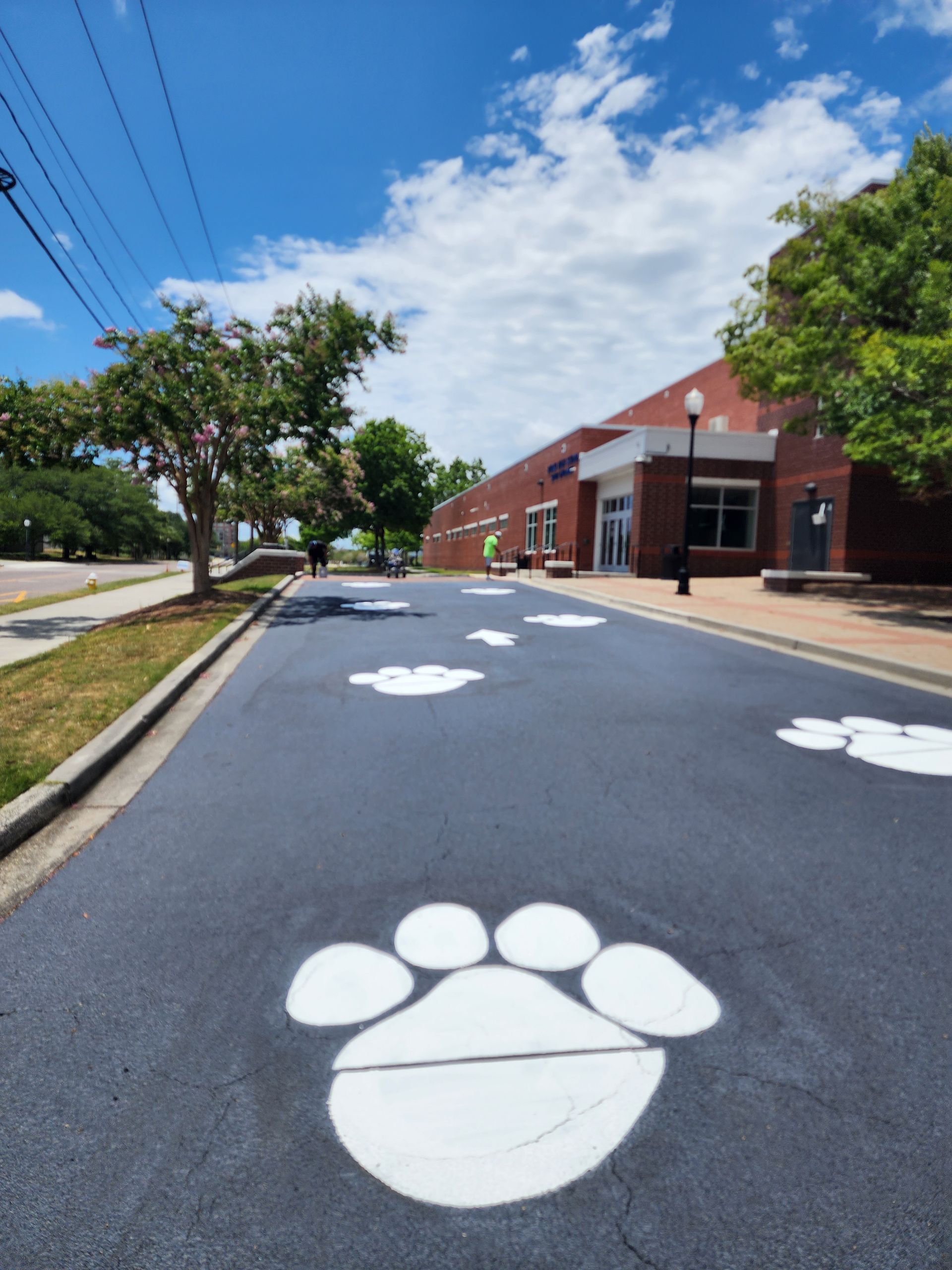 Finished school parking lot paving project in Charleston by local asphalt paving contractors.