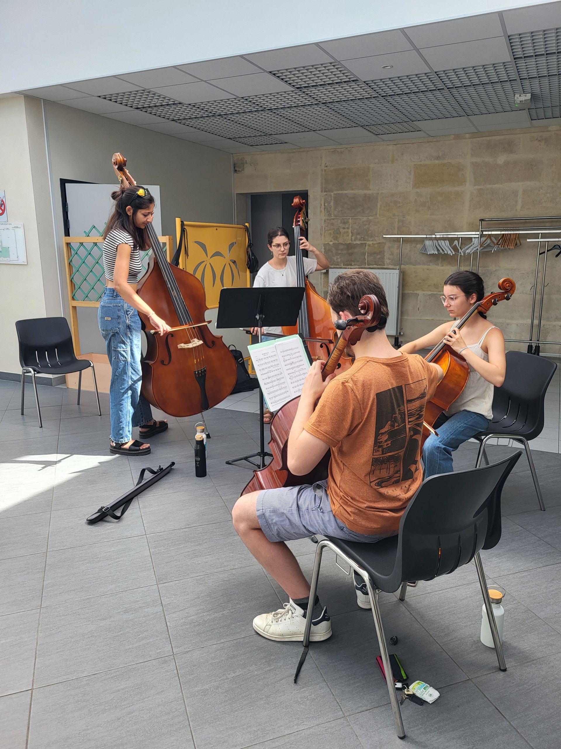 Flash mob bois Pupitre de violoncelles et contrebasses