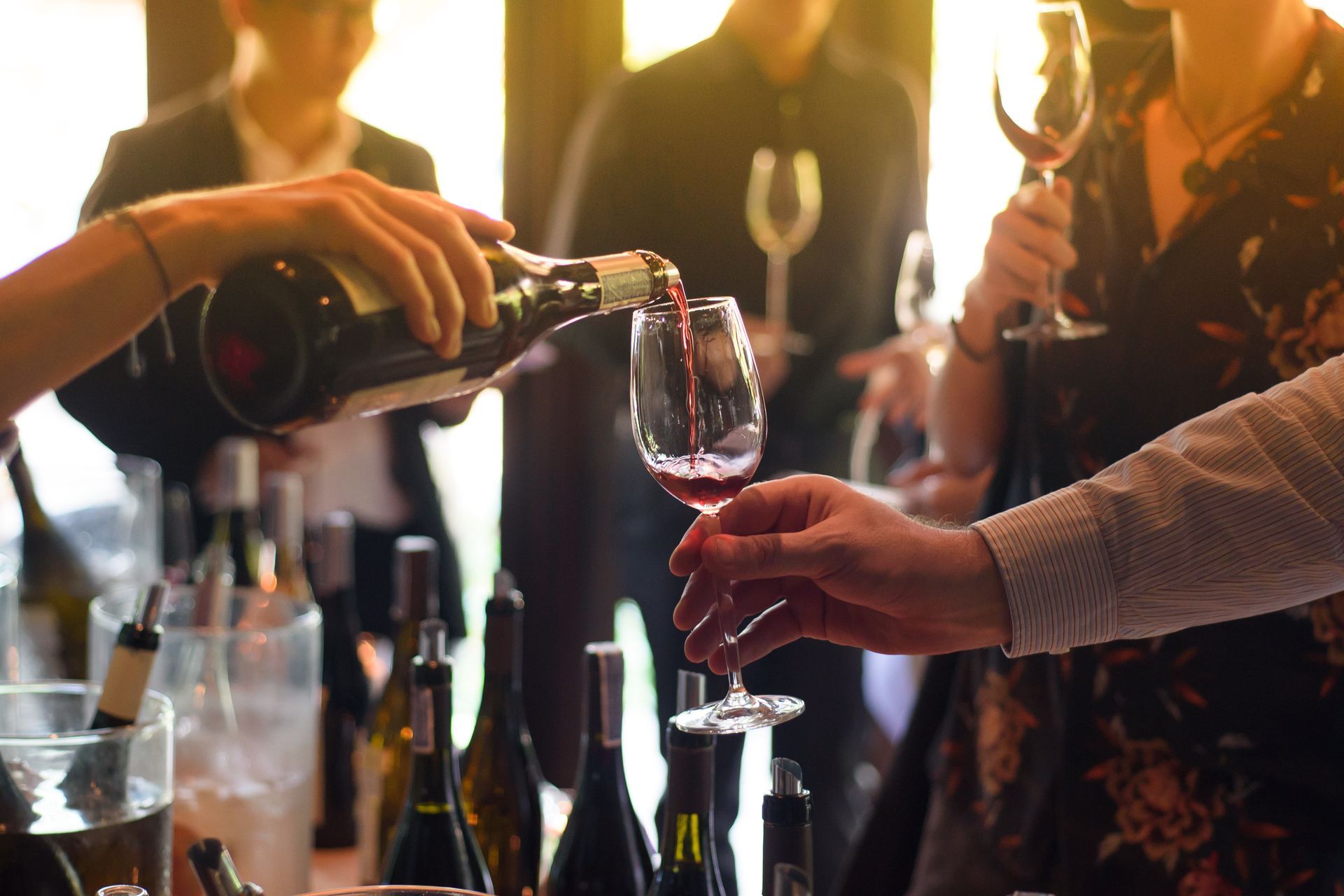 Wine tasting experience near Loganville GA at Niko's Wine Corner