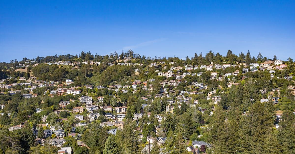 Residential hillside with houses nestled amongst trees under a clear blue sky.