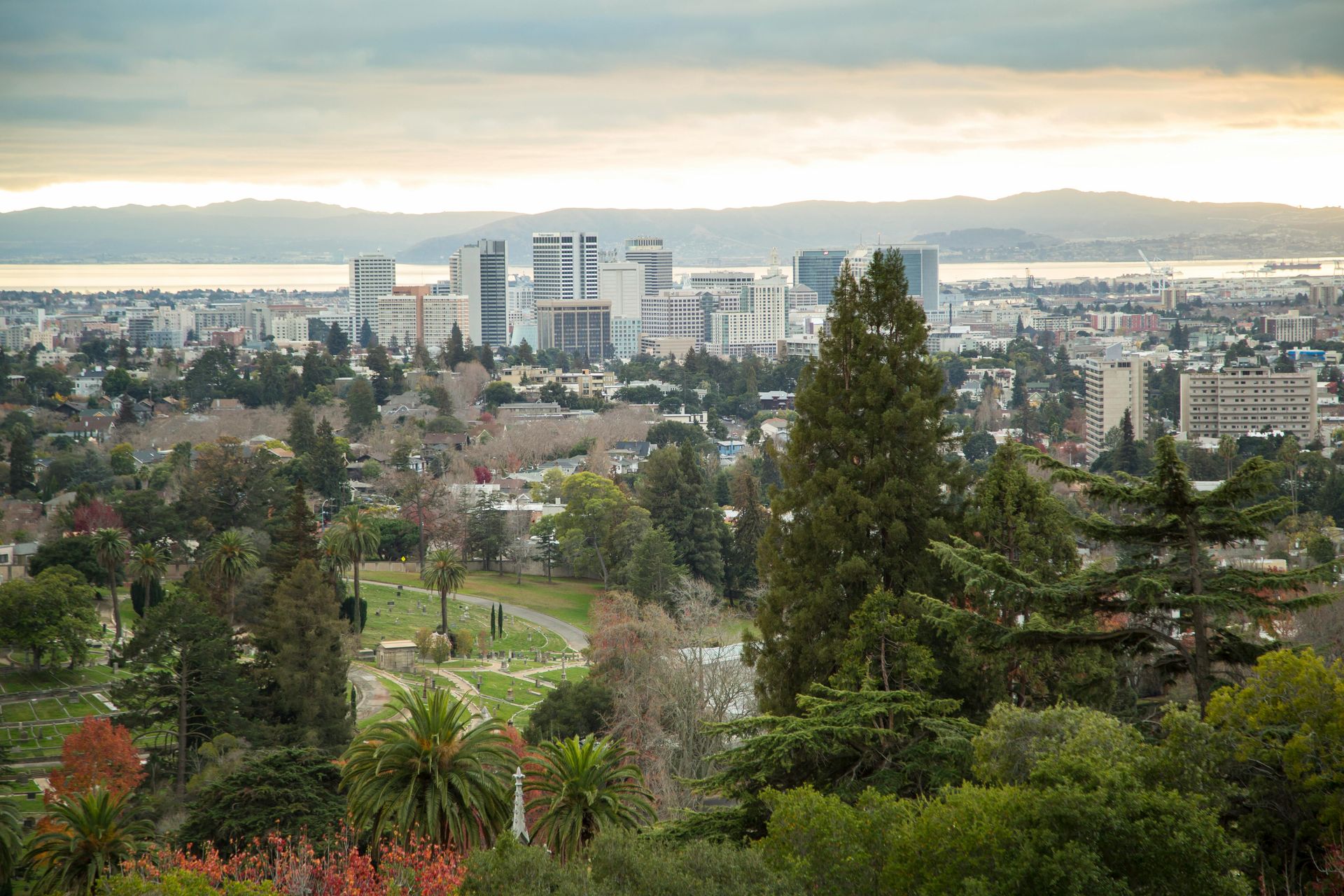 City skyline with buildings, trees, and cloudy sky over a body of water.