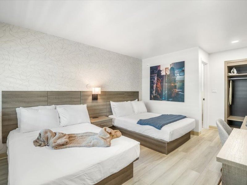 Hotel room with two beds, a sleeping dog on one bed, city wall art, and an open closet