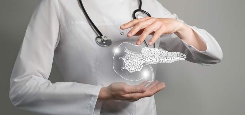 A doctor is holding a picture of a pancreas in her hands, representing the importance of Detoxification Therapy NJ and NYC at Victory Medical Institute