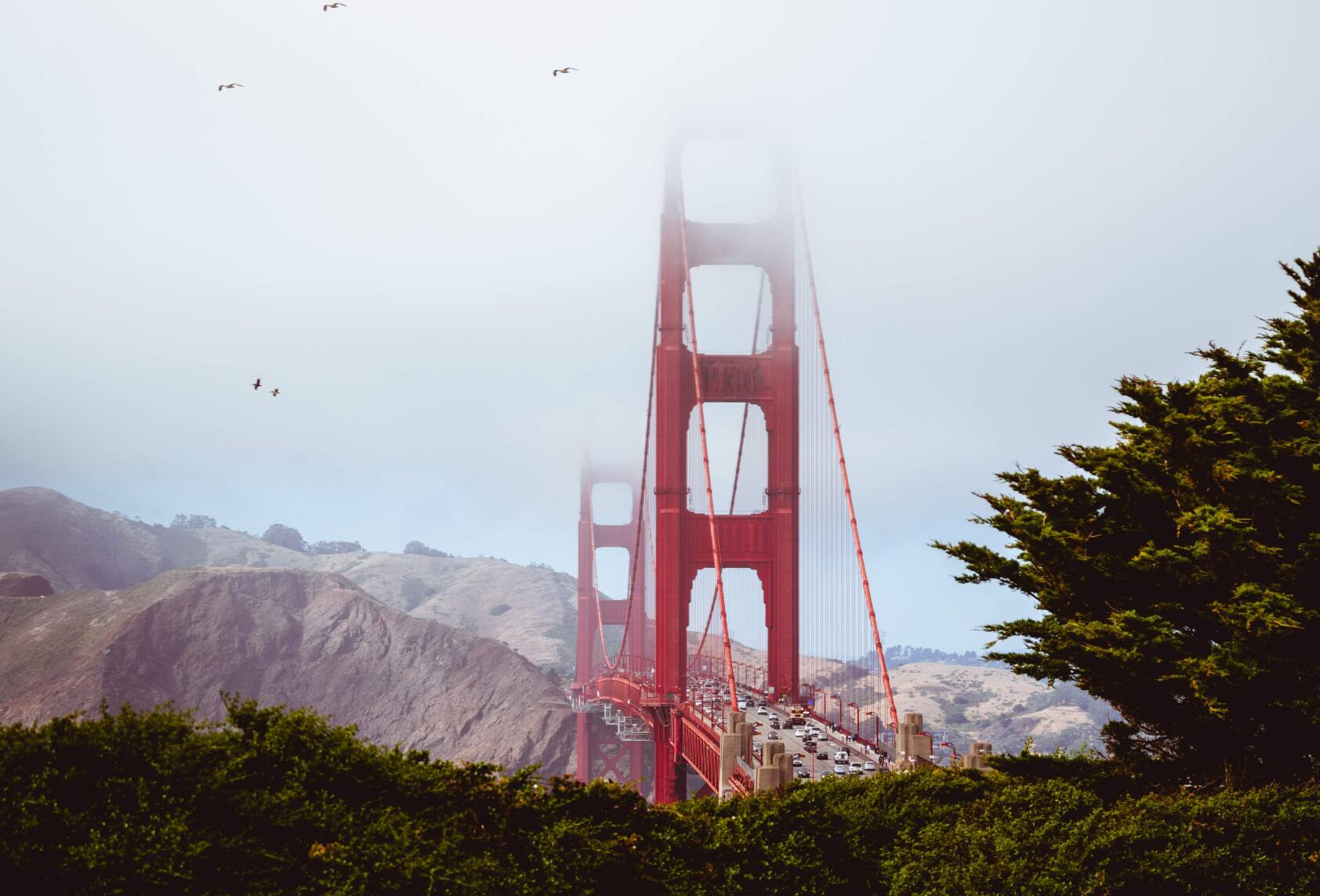 The golden gate bridge is covered in fog and birds are flying over it.